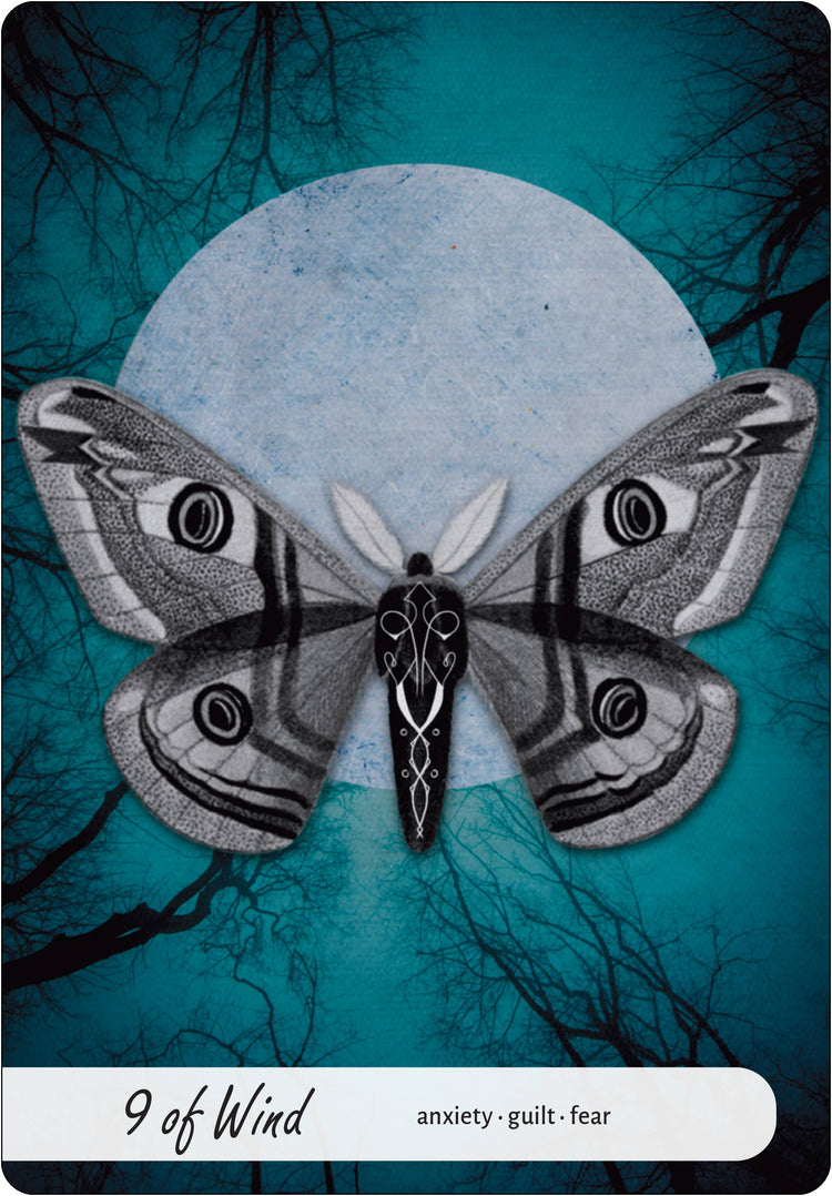 Wise Earth Medicine Tarot: 78 Cards & 96 Page Guidebook