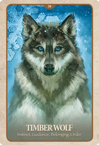 Timber Wolf tarot card with blue eyes, symbolizing instinct and guidance for spiritual practice