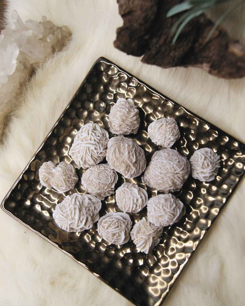Desert Rose