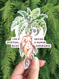 Mandrake Goddess vinyl sticker, a curvy mandrake root woman with the words I am a spiritual being having a human experience
