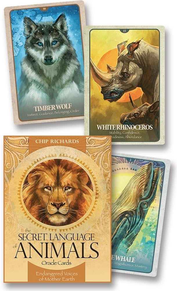 The Secret Language of Animals Oracle Cards featuring Timber Wolf, White Rhinoceros, and Whale cards for spiritual guidance