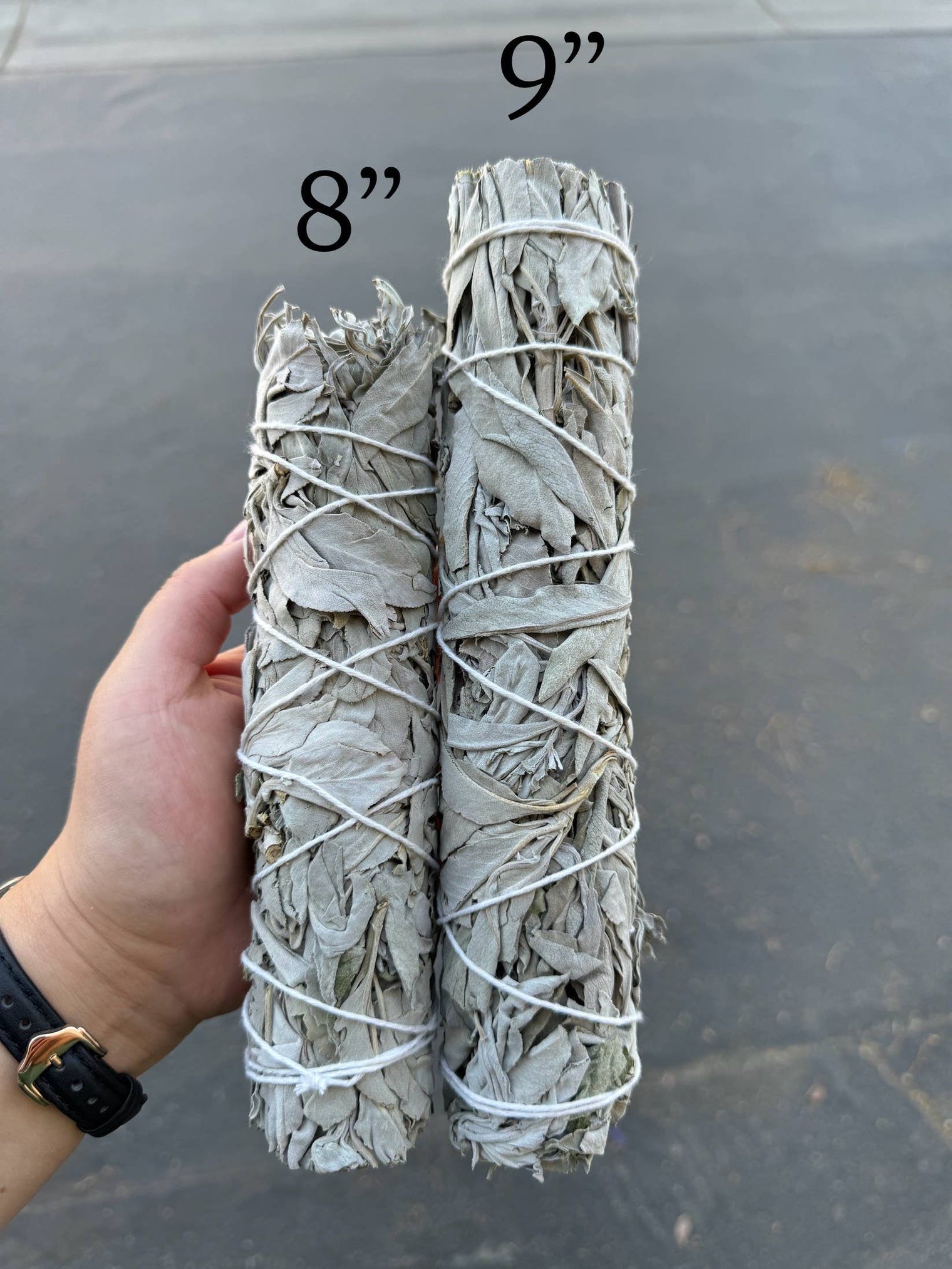 White Sage Herb Wands -  9" Inch