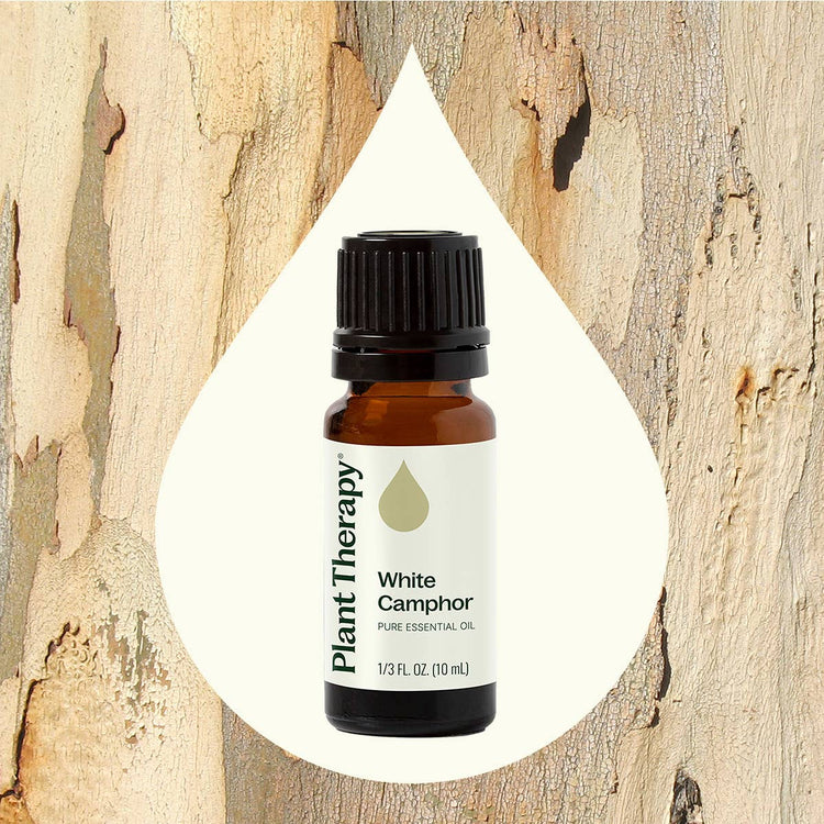 White Camphor Essential Oil 10mL