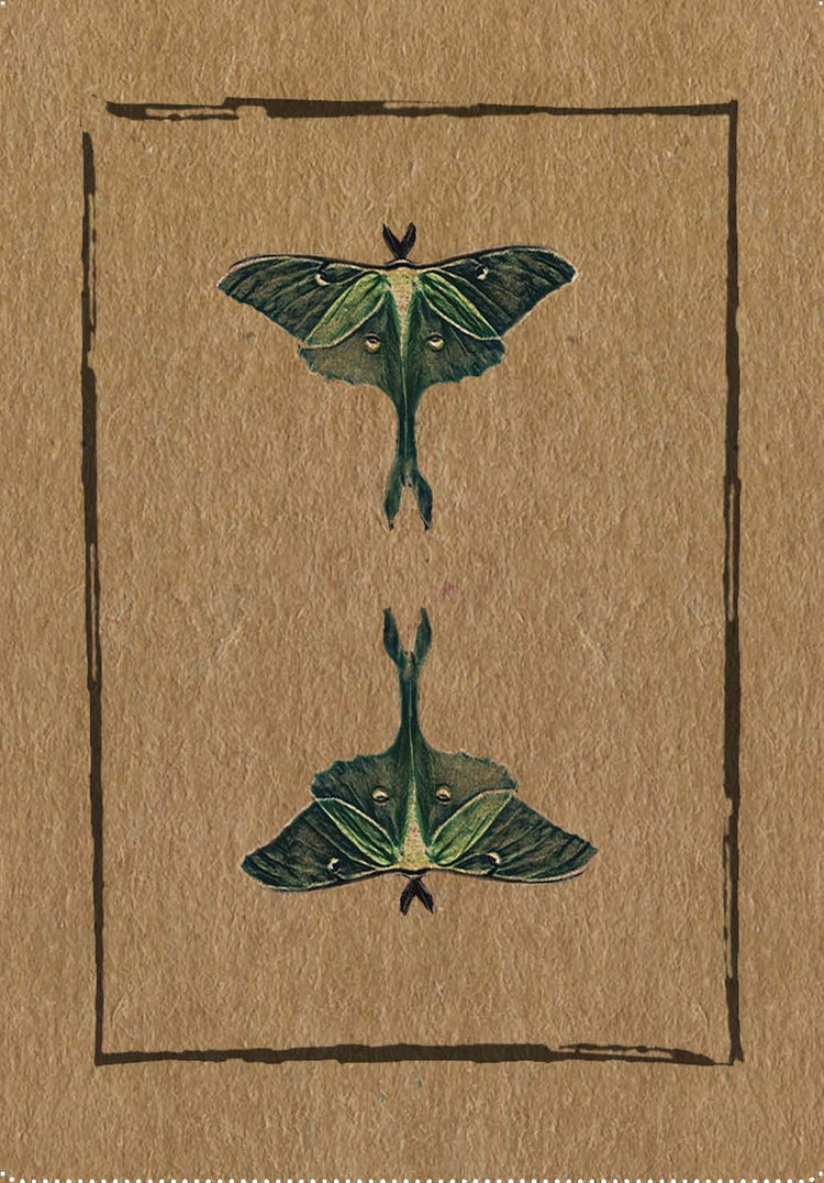 Conjure Cards: Fortune-Telling Card Deck and Guidebook