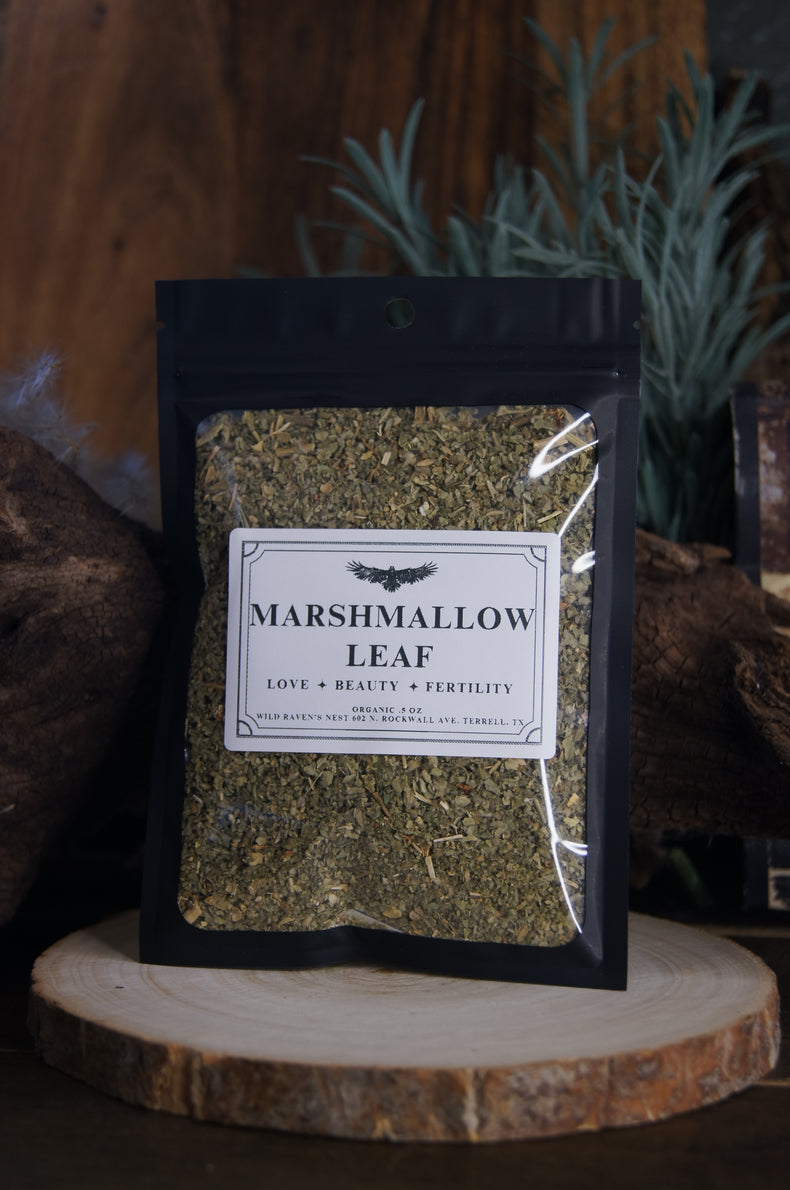 Marshmallow Leaf | Soothing Support for Gut & Spirit