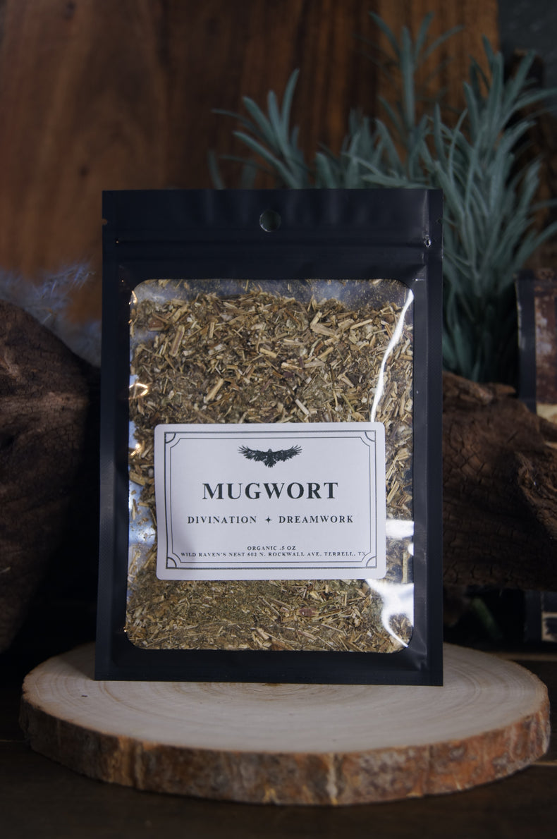 Mugwort Herb | Dreams, Divination & Protection