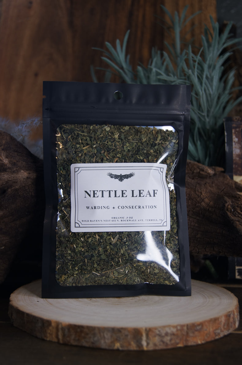 Nettle Leaf | Strengthening Herb for Blood, Boundaries & Spellwork