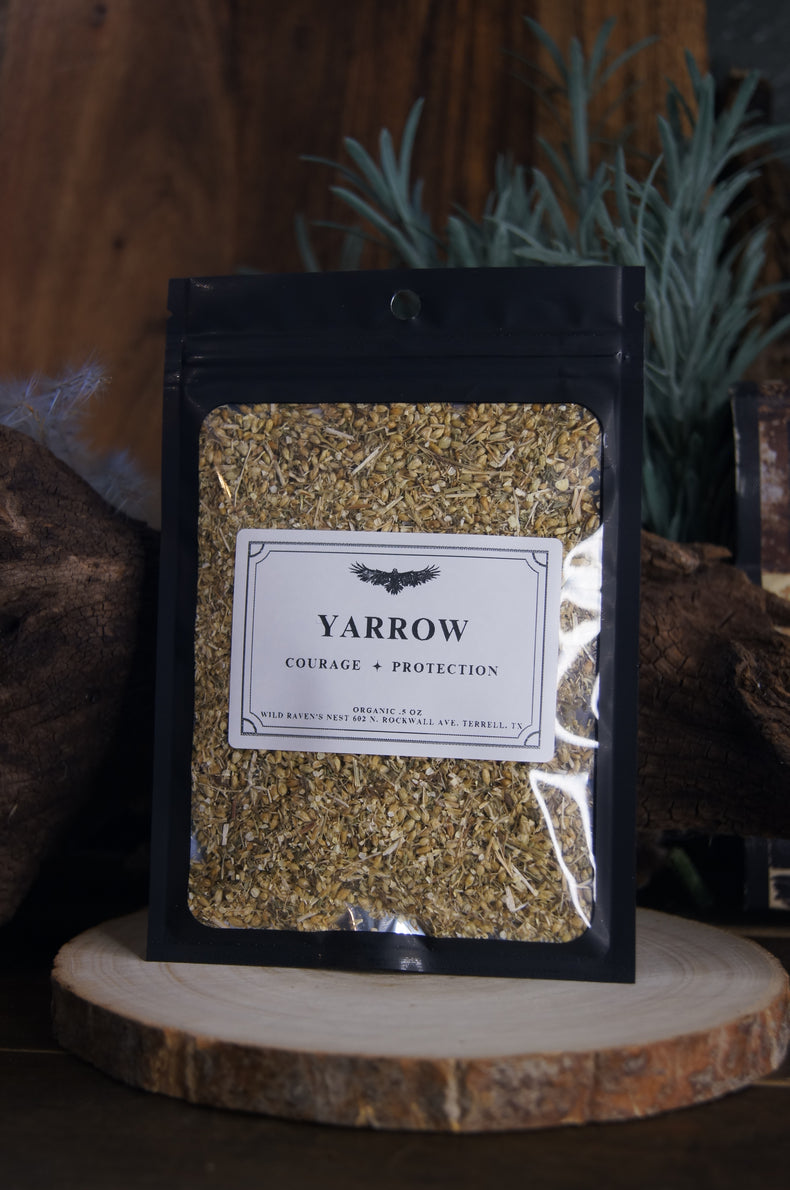 Yarrow | Boundaries & Psychic Shield