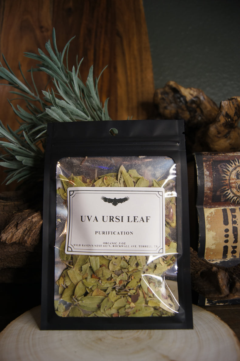 Uva Ursi Leaf | Boundaries and Restoration
