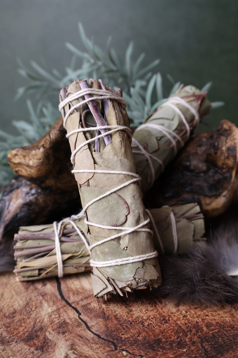Eucalyptus Bundle 4" | Clear the Air & the Head