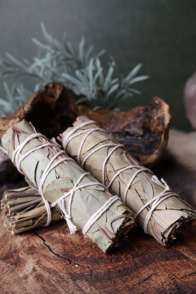 Eucalyptus Bundle 4" | Clear the Air & the Head