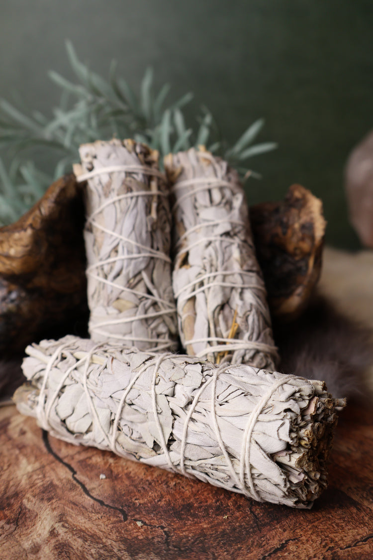 White Sage Bundle 4" | Wipe the Slate Clean