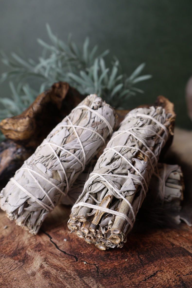 White Sage Bundle 4" | Wipe the Slate Clean