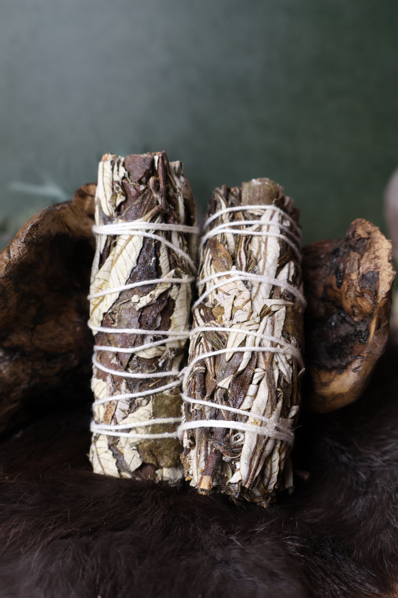 Yerba Santa Bundle 4" | Ancestral Work & Remembrance