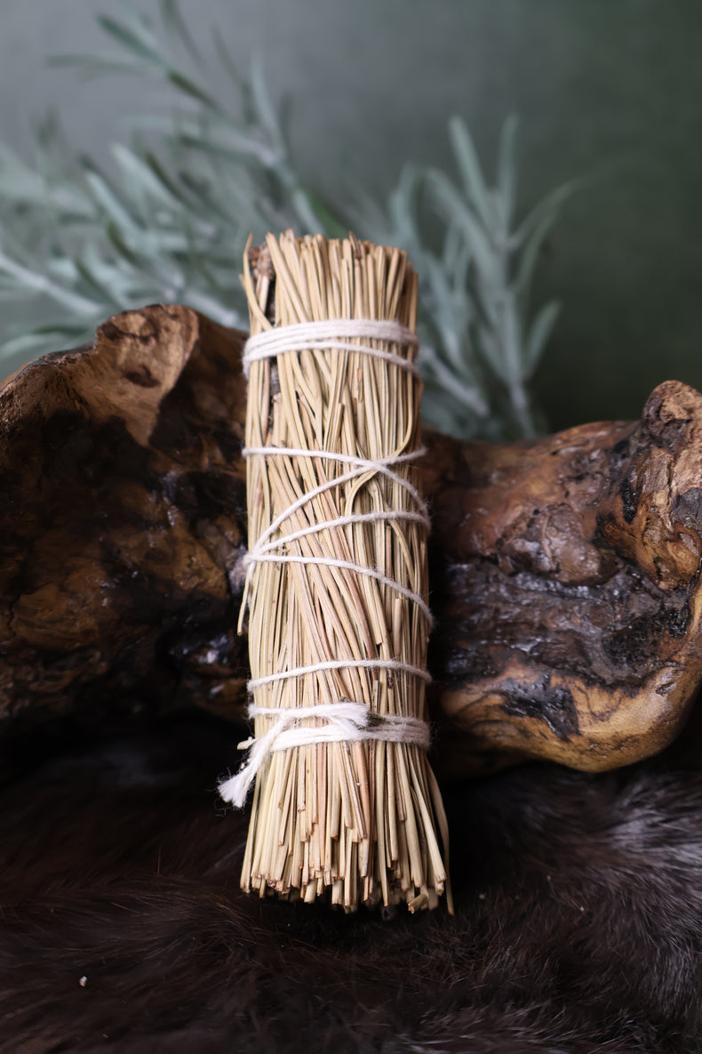 Pine Bundle 4" | Renewal & Winter Strength