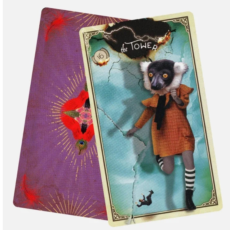 Curious Creatures - Tarot Deck