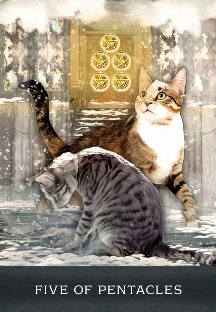 Curious Cats Tarot - Tarot Deck