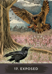 Urban Crow Oracle