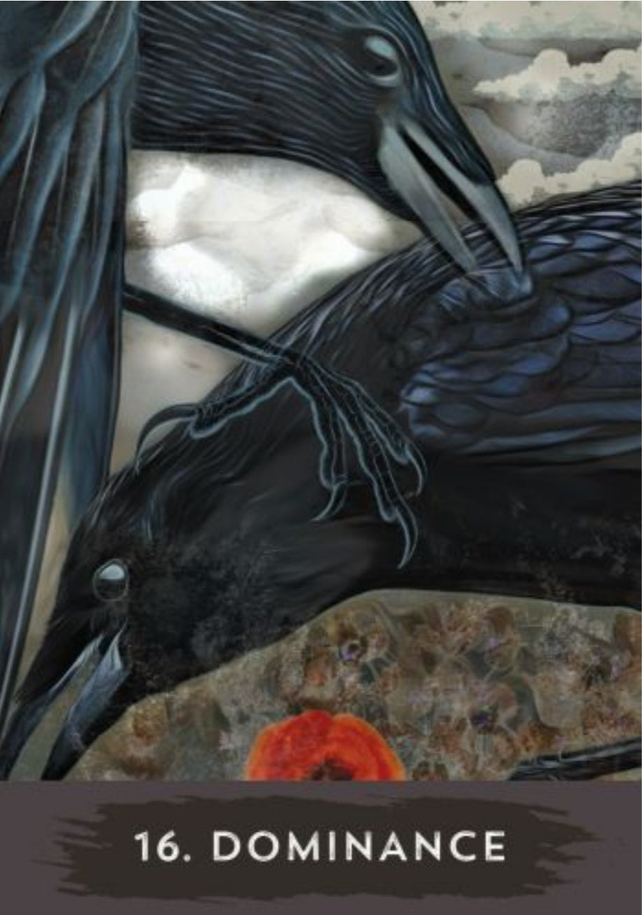 Urban Crow Oracle