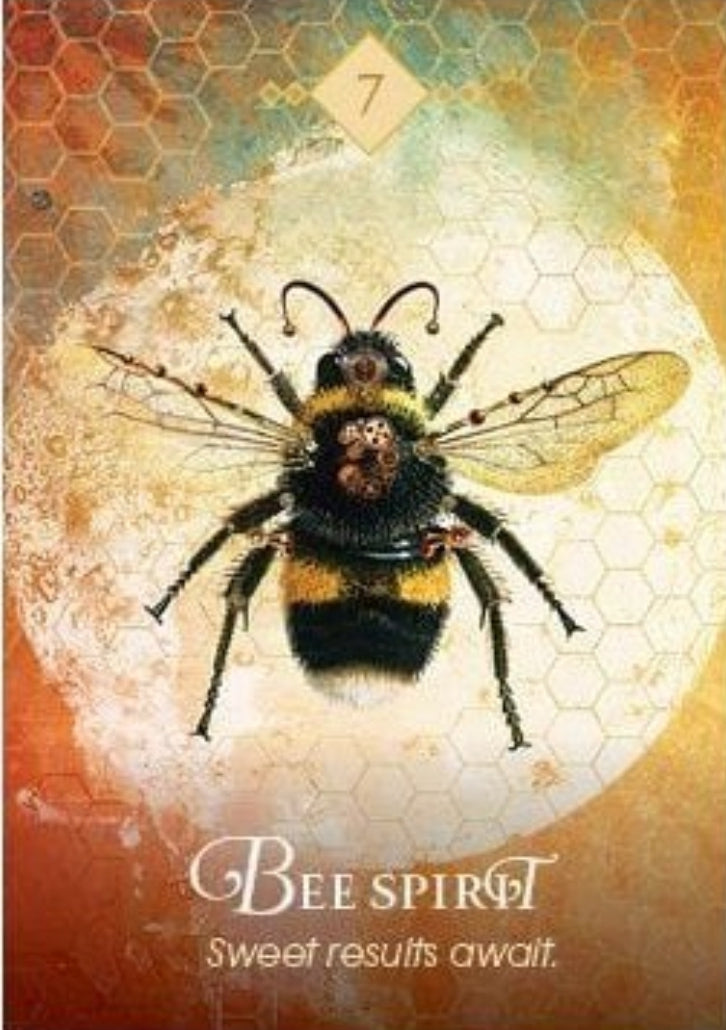 The Spirit Animal Oracle Deck