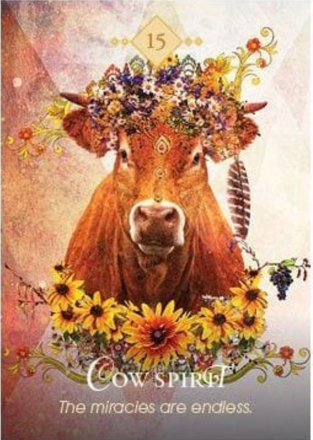 The Spirit Animal Oracle Deck