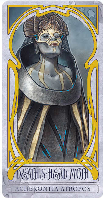 Wicked Garden Oracle Deck