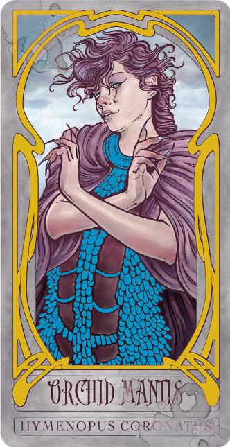 Wicked Garden Oracle Deck