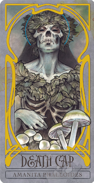 Wicked Garden Oracle Deck