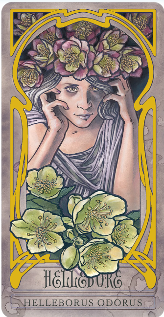 Wicked Garden Oracle Deck
