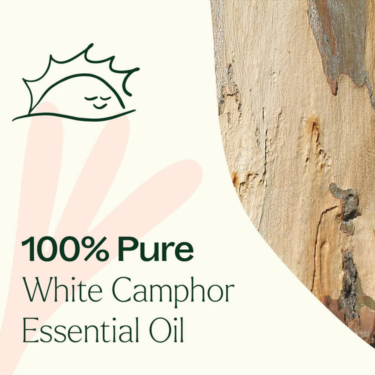 White Camphor Essential Oil 10mL