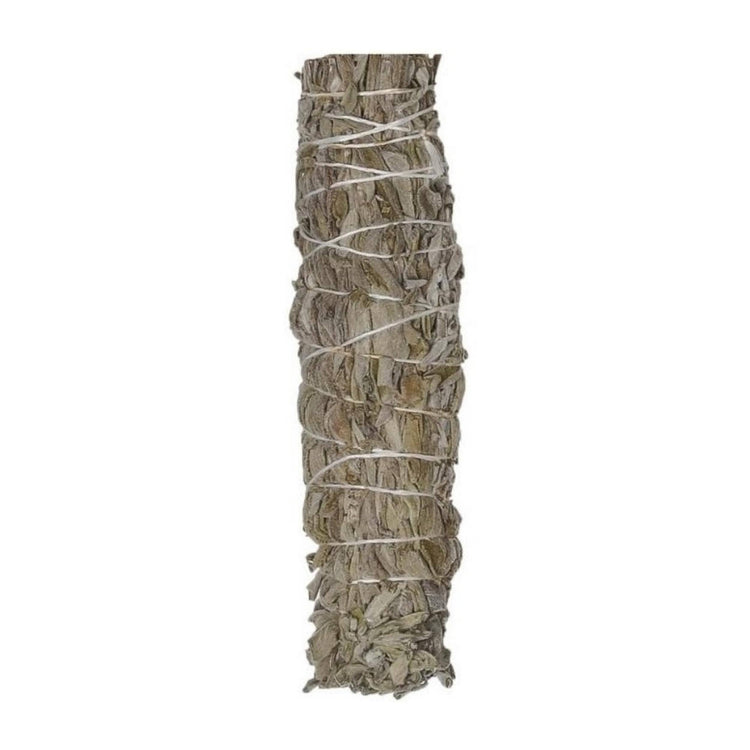 Common Sage (Salvia Officinalus) Herb Wands