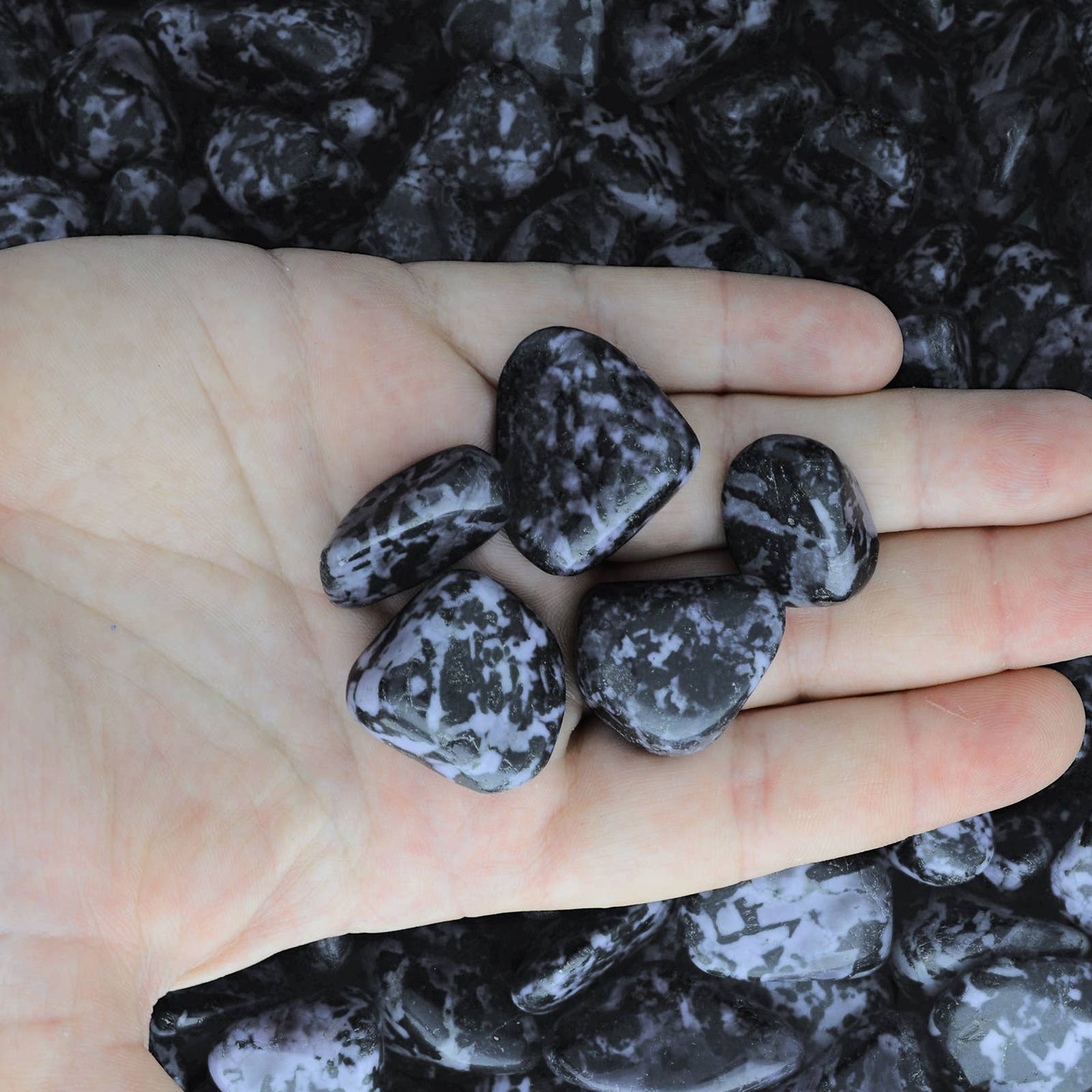 Indigo Gabbro - Madagascar Tumbled