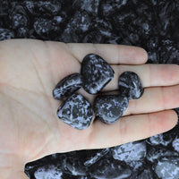 Indigo Gabbro - Madagascar Tumbled