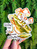 Toad Shroom vinyl sticker, a tree frog under a mushroom cap with a slow down message
