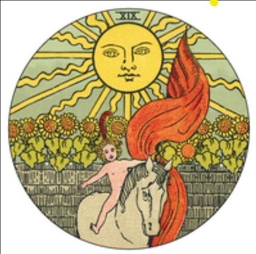 Circular Edition Tarot Original 1909 - Wild Raven