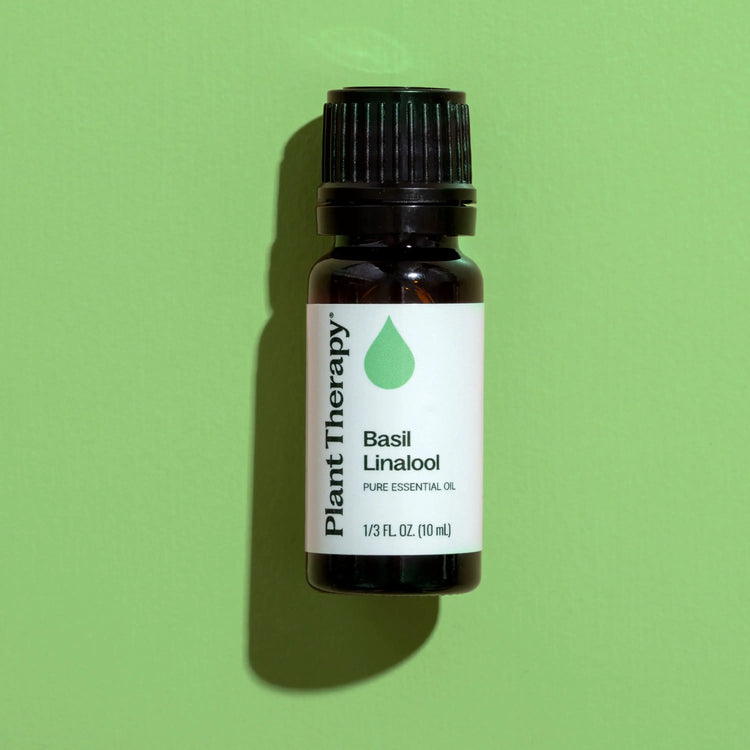Basil Linalool Essential Oil 10 mL