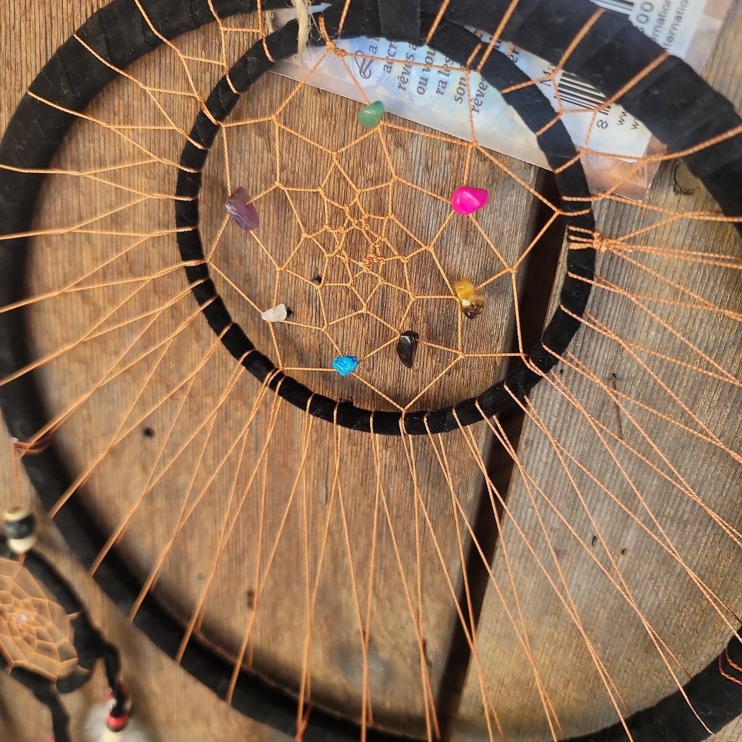Dreamcatcher Transcendence - Wild Raven