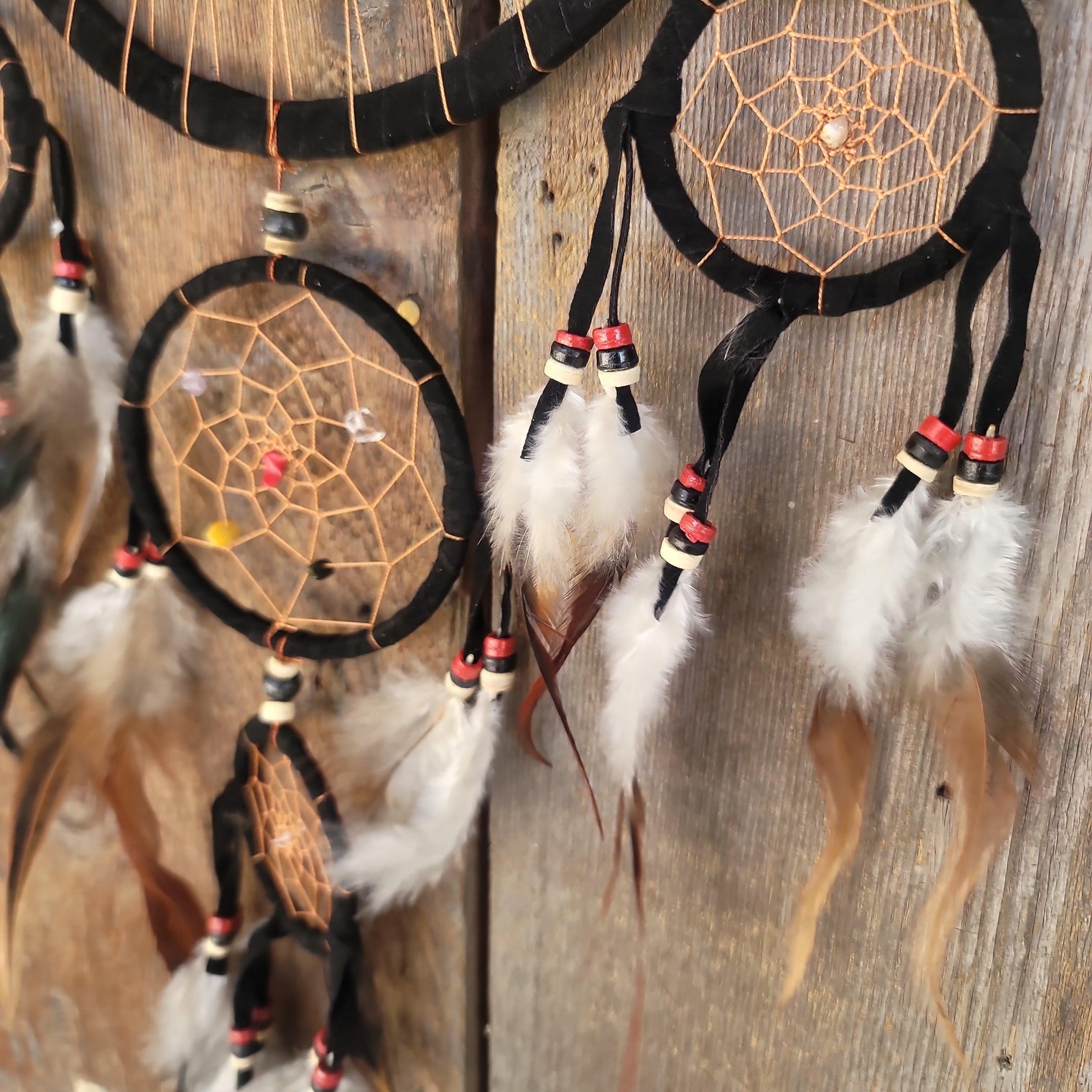 Dreamcatcher Transcendence - Wild Raven