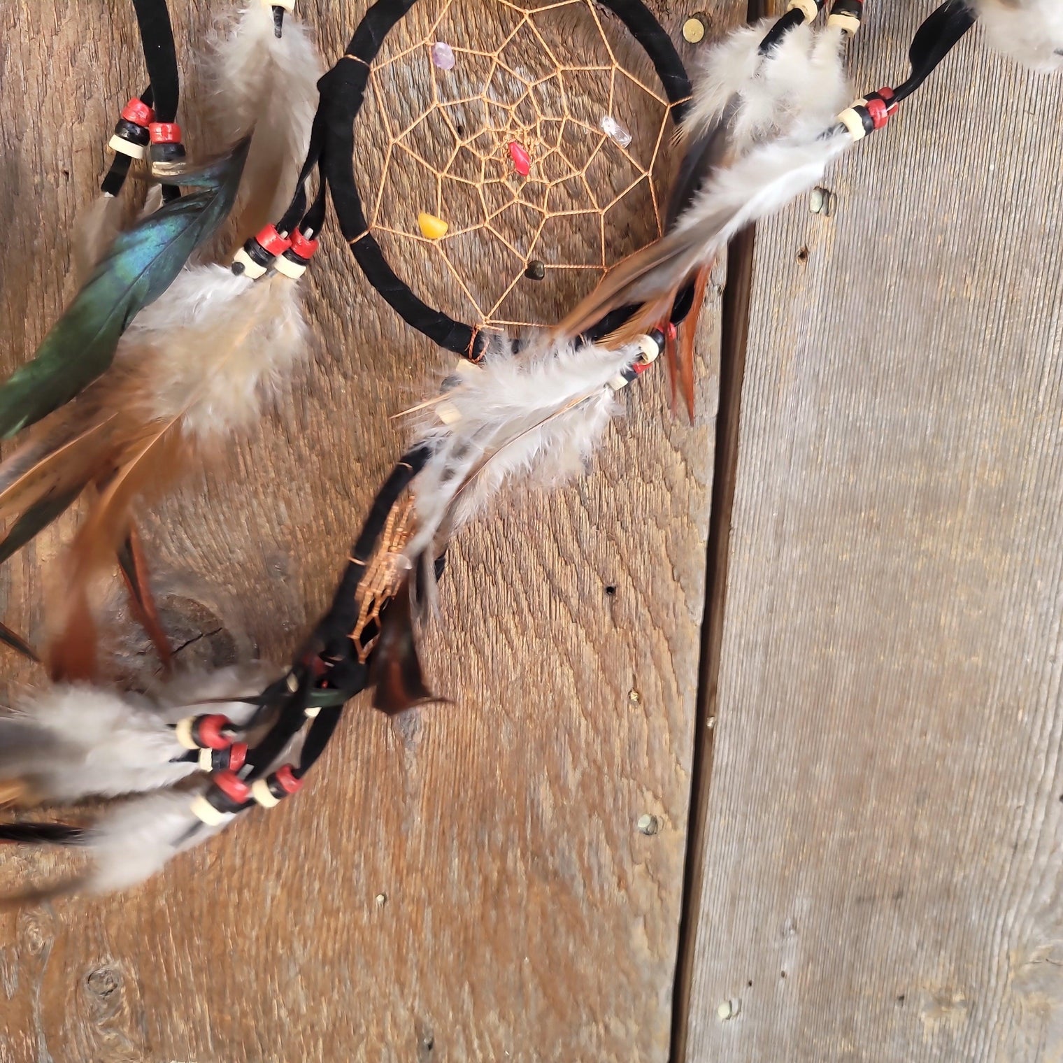 Dreamcatcher Transcendence - Wild Raven