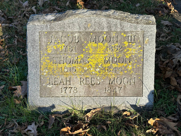 Weathered gravestone for Jacob, Thomas, and Leah Rees Moon, covered in yellow lichen, set in grass with fallen leaves.