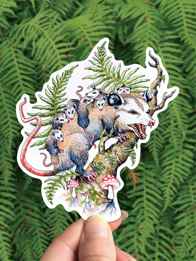 Opossum Queen vinyl sticker, an opossum among mushrooms and forest greens, held against ferns