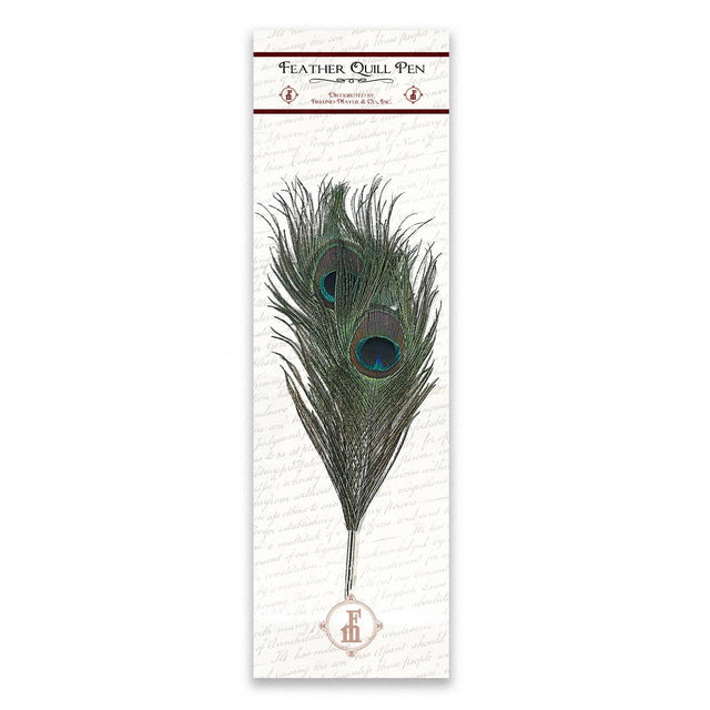 Freund Mayer & Co. peacock feather quill pen with blue and green plumage on a vintage paper background.