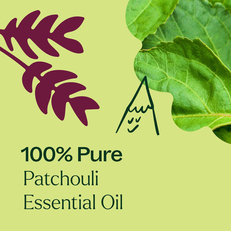 Patchouli Essential Oil 10 mL