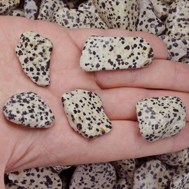 Dalmatian Jasper - Tumbled