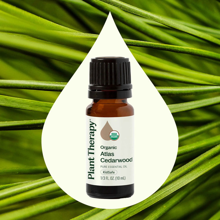 Organic Atlas Cedarwood Essential Oil 10 mL