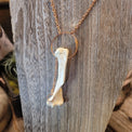 Opossum bone necklace - Wild Raven