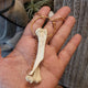 Opossum bone necklace - Wild Raven