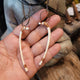 Opossum rib bone earrings - Wild Raven