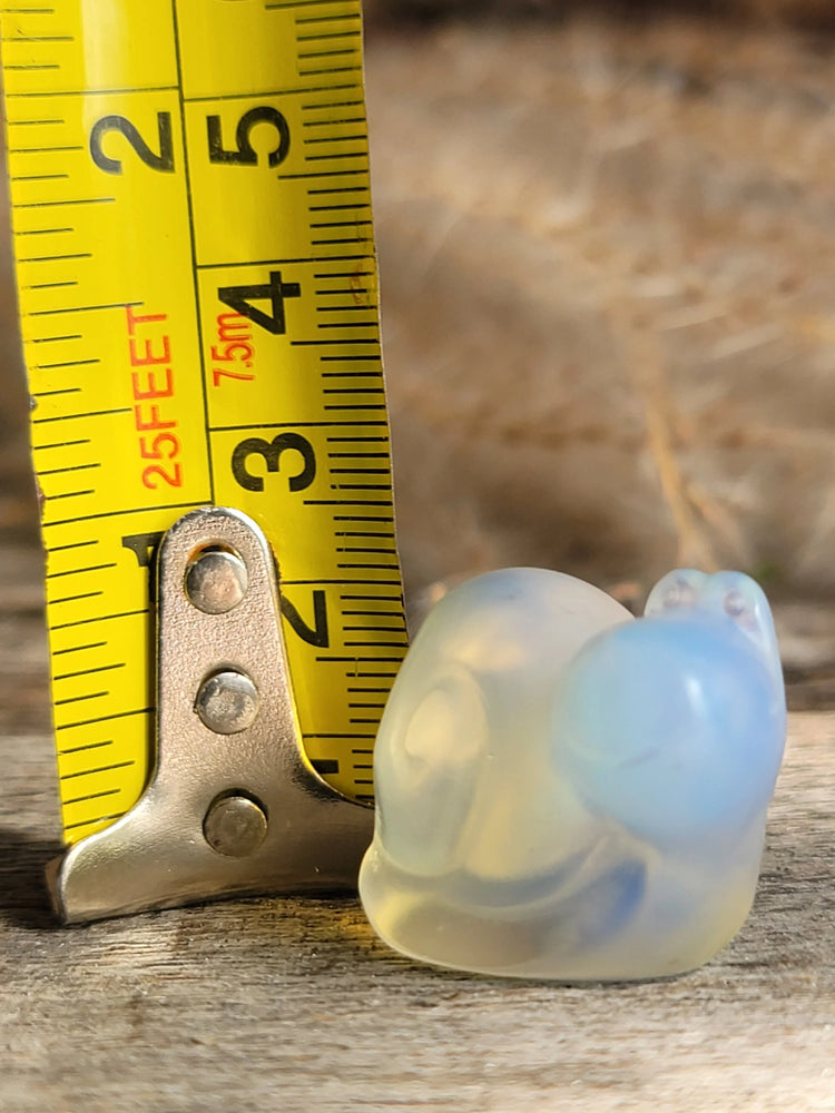 Opalite Snail