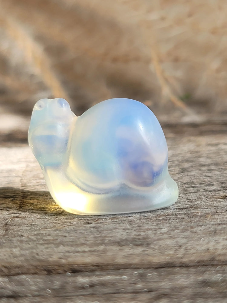 Opalite Snail
